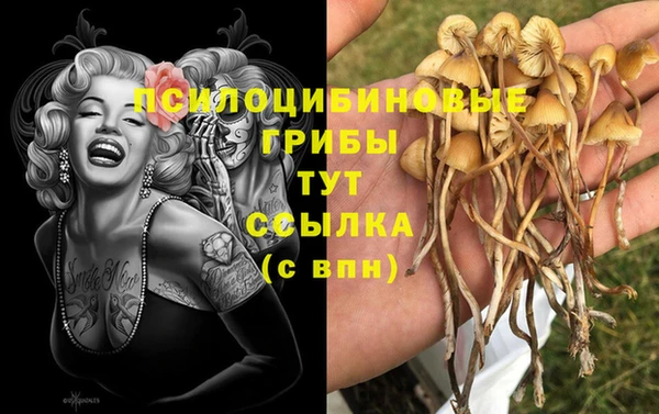 бутират Богородск