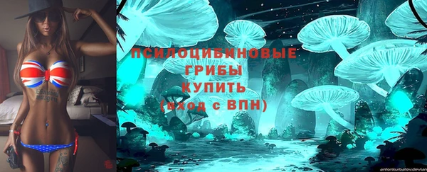 крисы Белокуриха